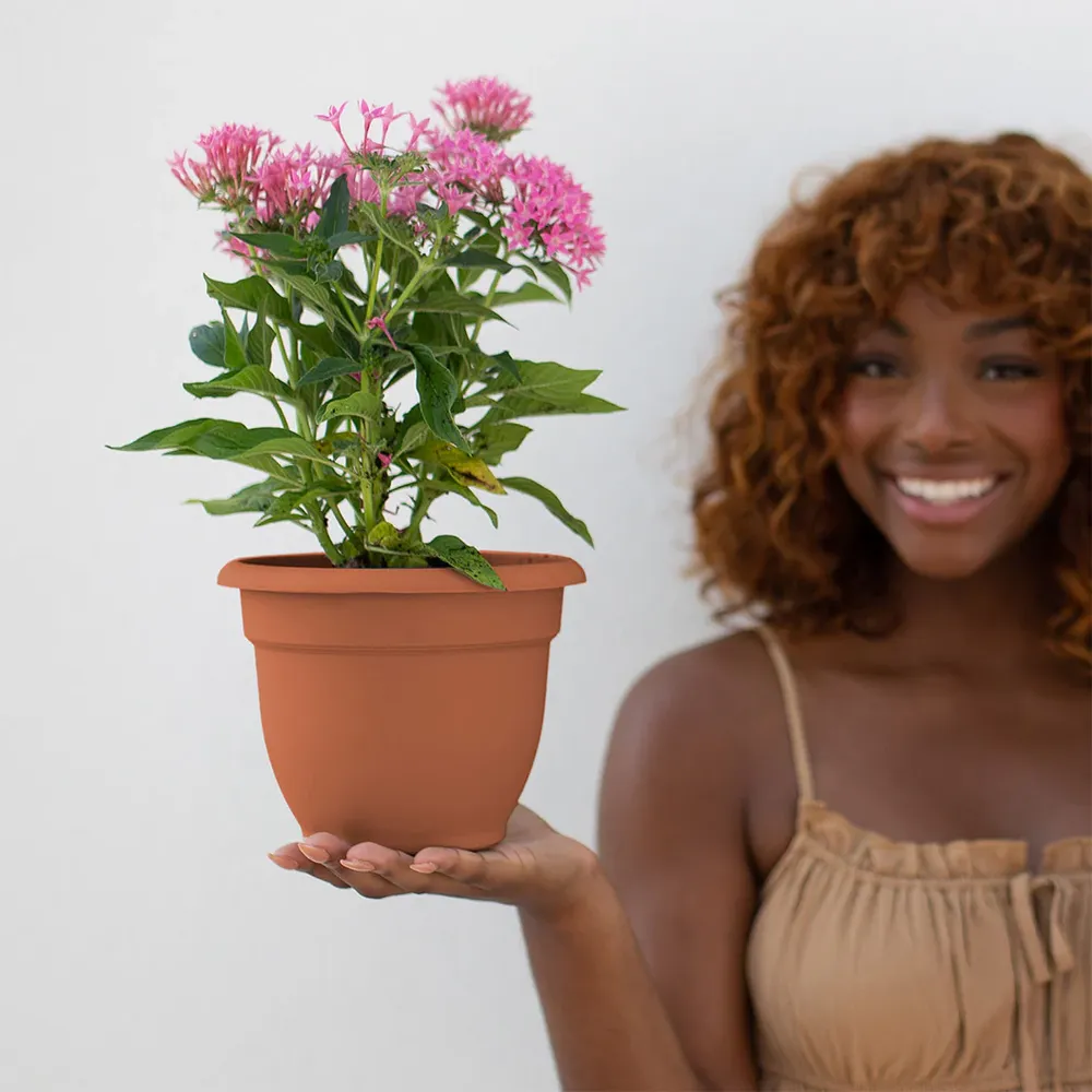 Bloem Ariana Self-Watering Planter in Terra Cotta 3