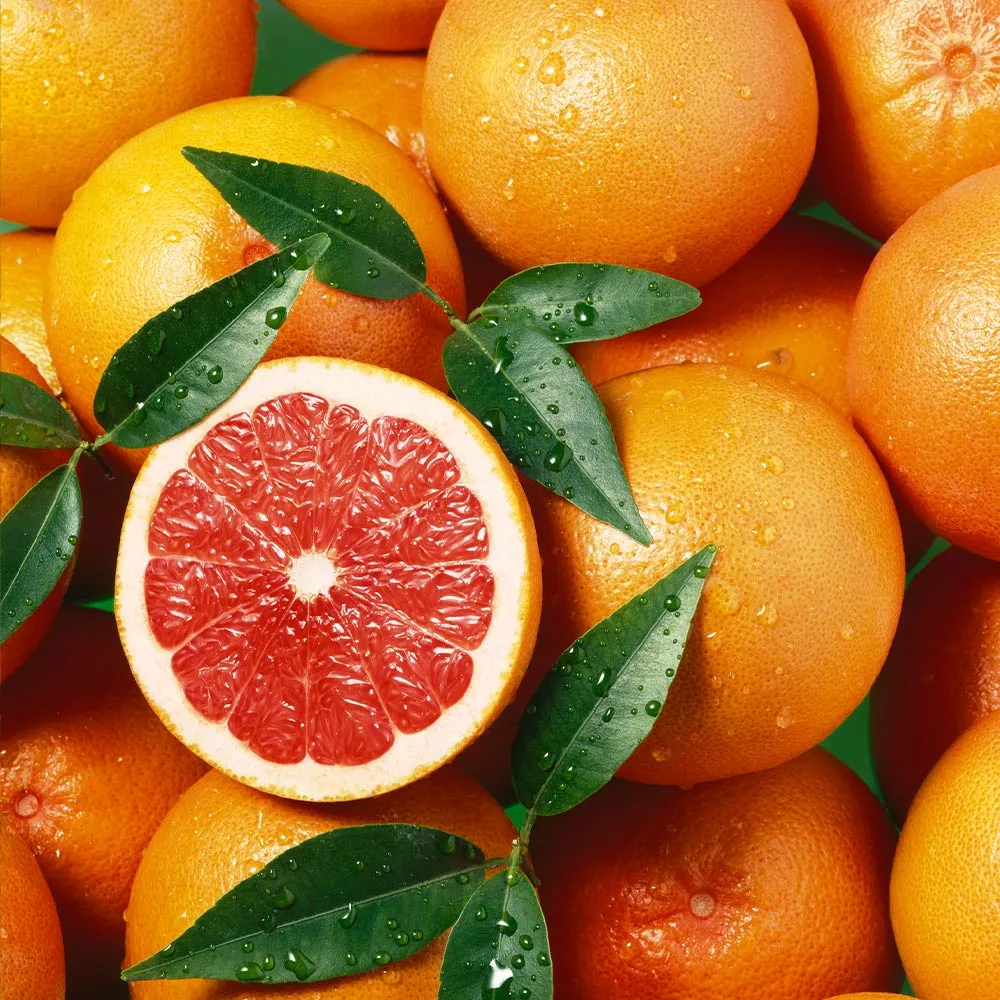 Star Ruby Grapefruit Tree - Live Citrus Paradisi for Home Cultivation 1