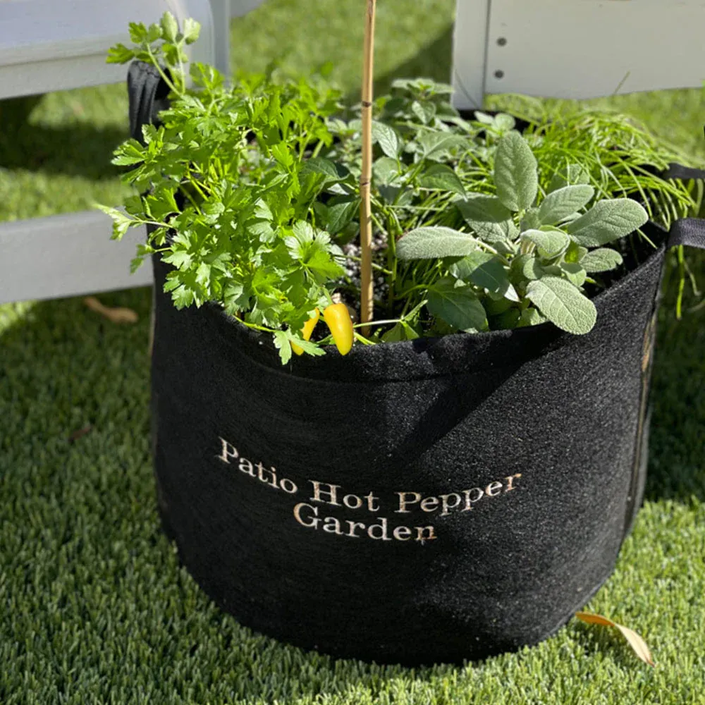 Patio Hot Pepper Garden Container Kit with Self-Watering System
