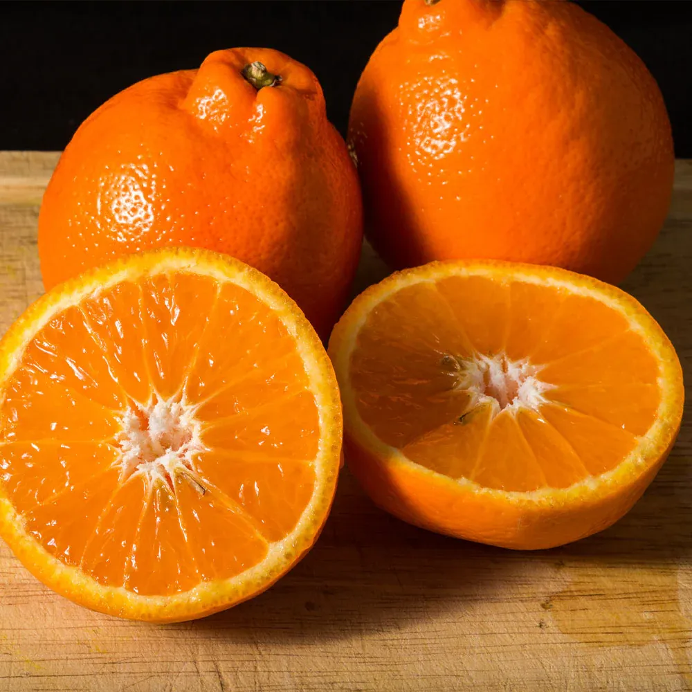 Tangelo Tree Live Citrus Fruit Plant for Home Garden 3
