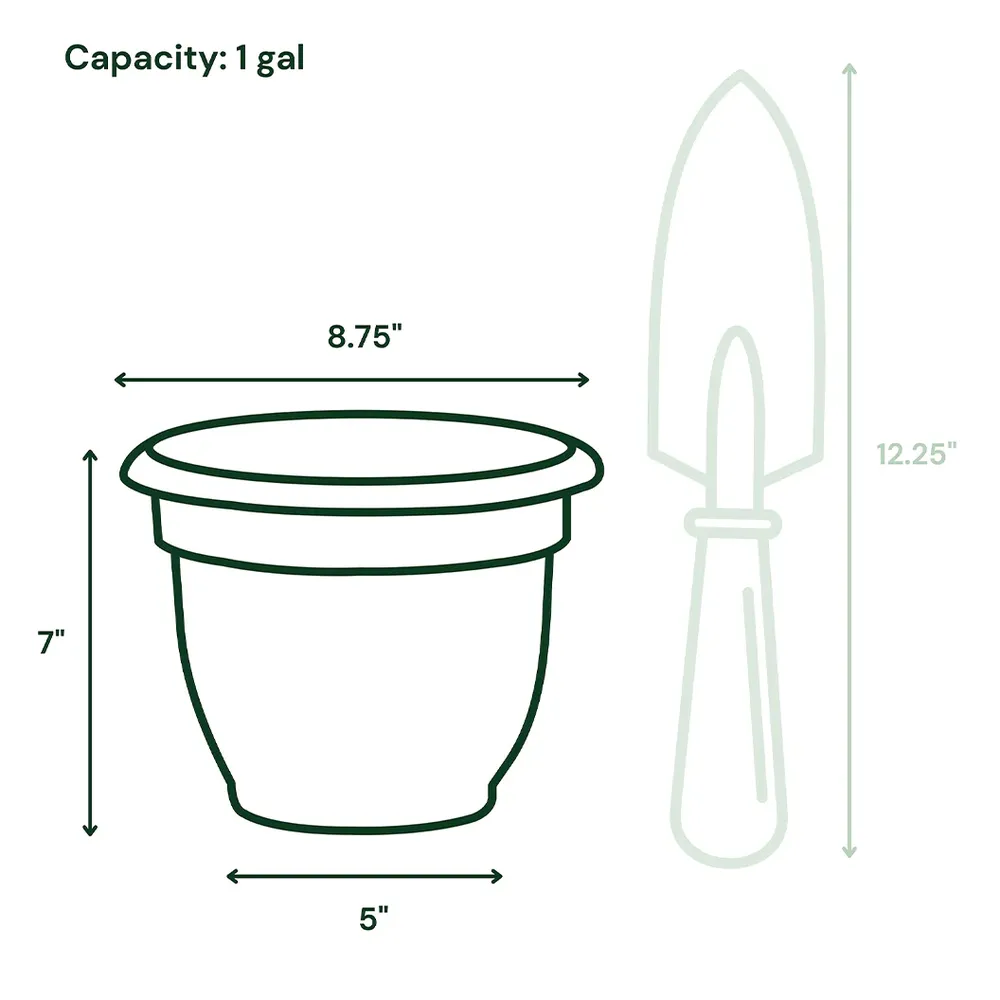Bloem Ariana Self-Watering Planter in Terra Cotta 5