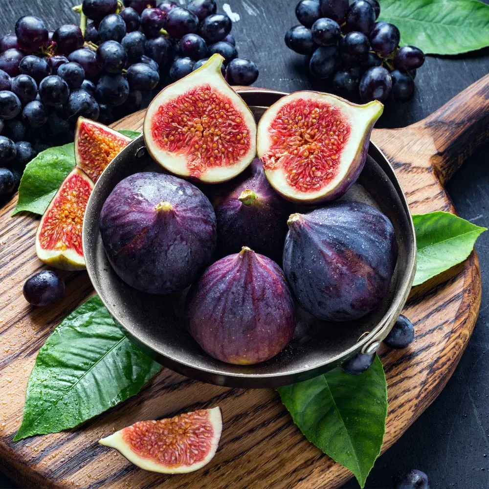 Black Mission Fig Tree - Live Fruit-Bearing Plant for Home Gardens 1