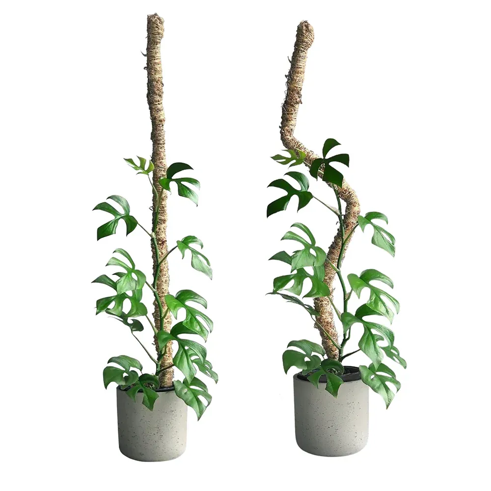 Bendable Moss Pole for Climbing Plants - Flexible Indoor Plant Support Stake