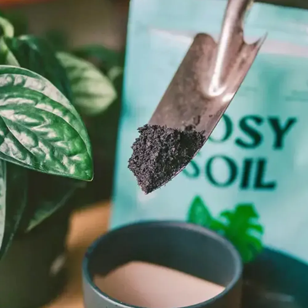 Rosy Soil Houseplant Mix - Professional Indoor Potting Substrate 1