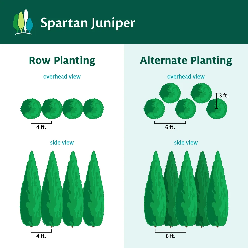 Spartan Juniper Versatile Utility Tool 5