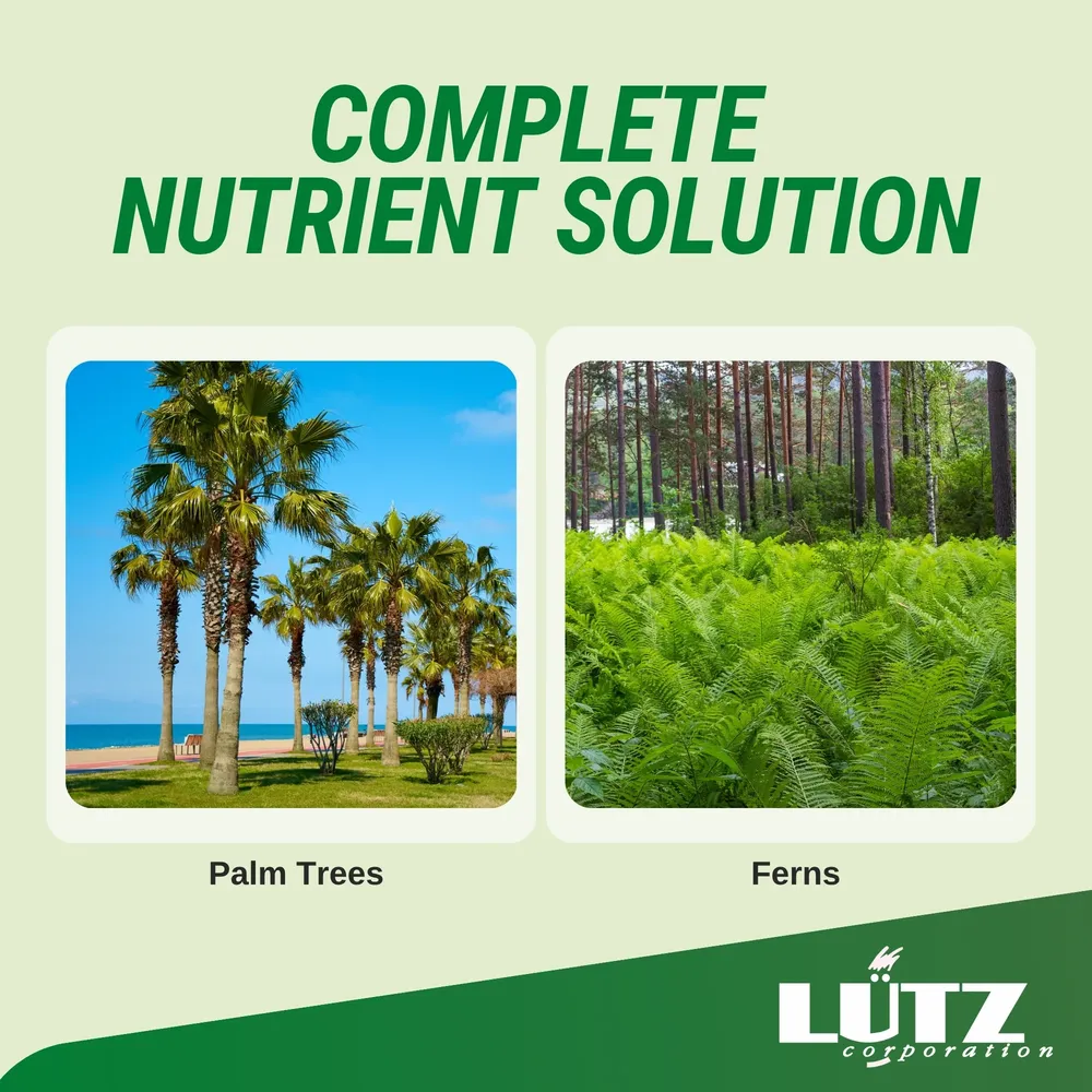Lutz Palm Tree Fertilizer Spikes - Slow Release Nutrient Formula 6