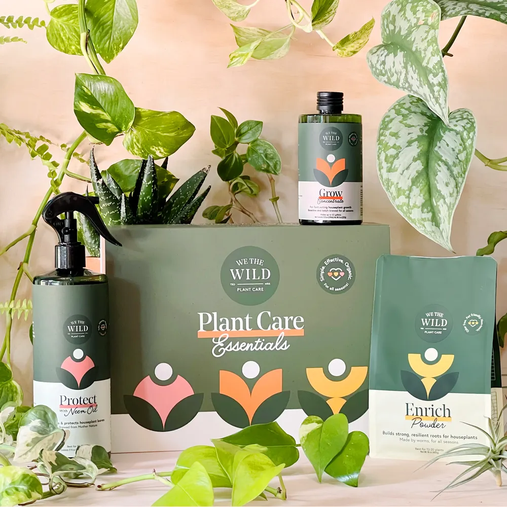 Essential Plant Care Kit for Indoor Houseplants