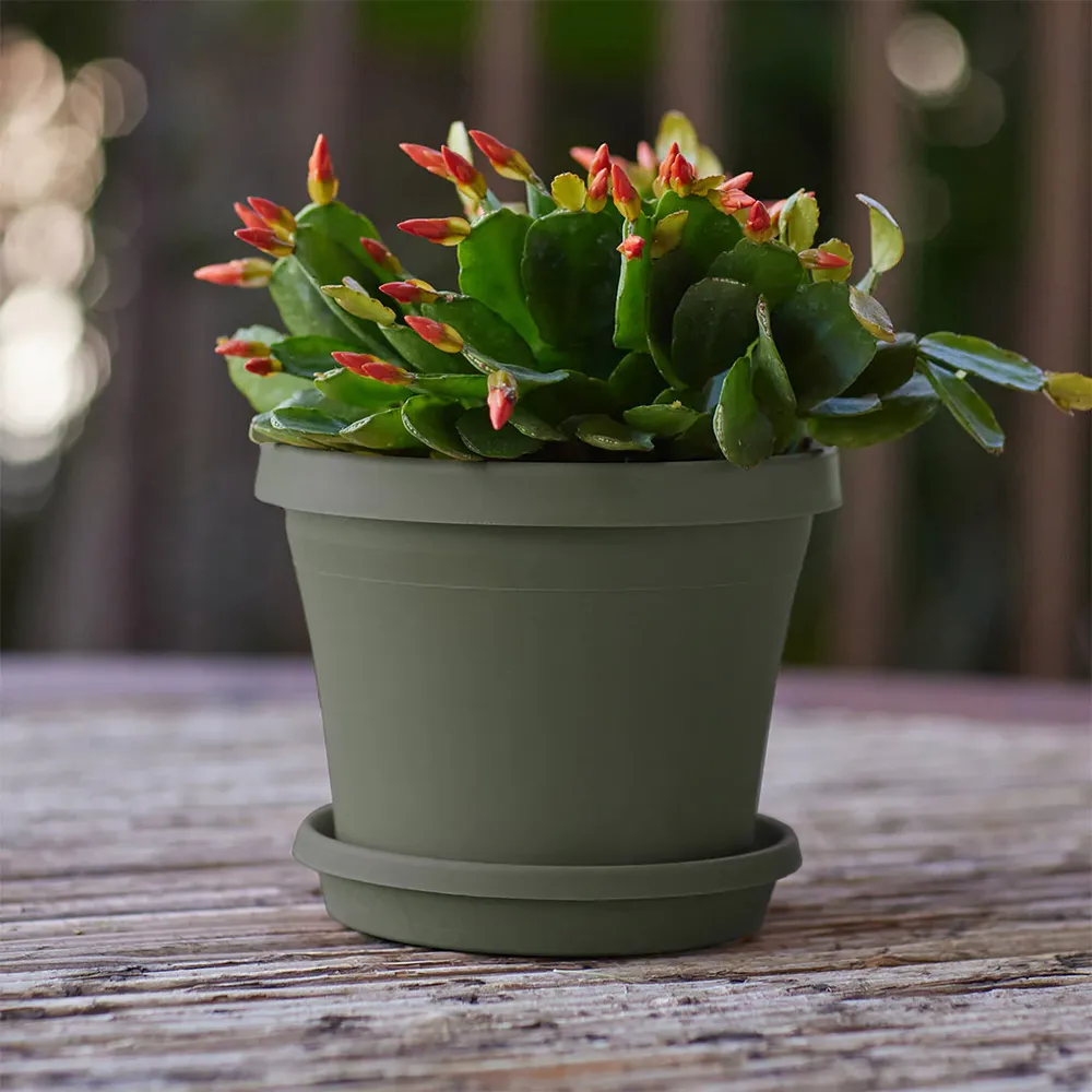Terra Planter in Living Green - Round Indoor and Outdoor Plant Container 4