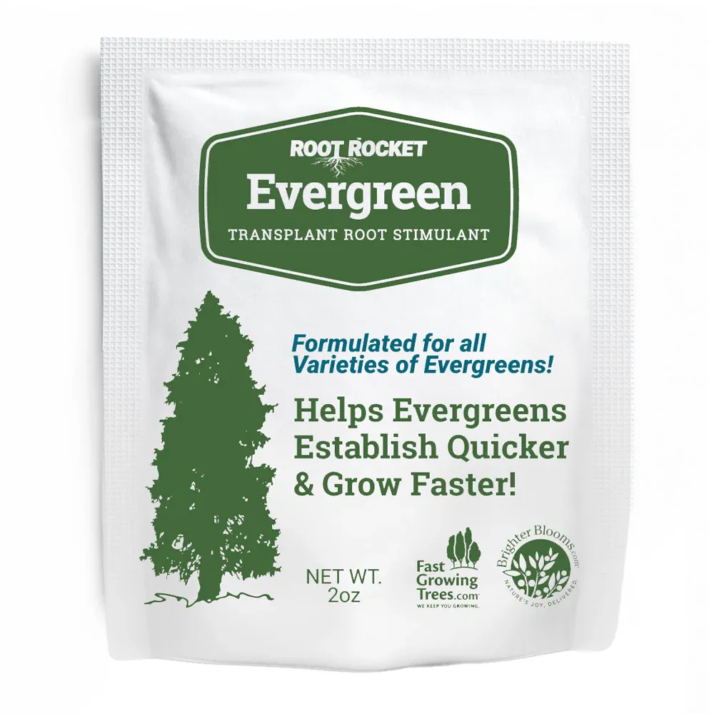 Evergreen Root Rocket Deep Root Watering and Fertilizing Tool