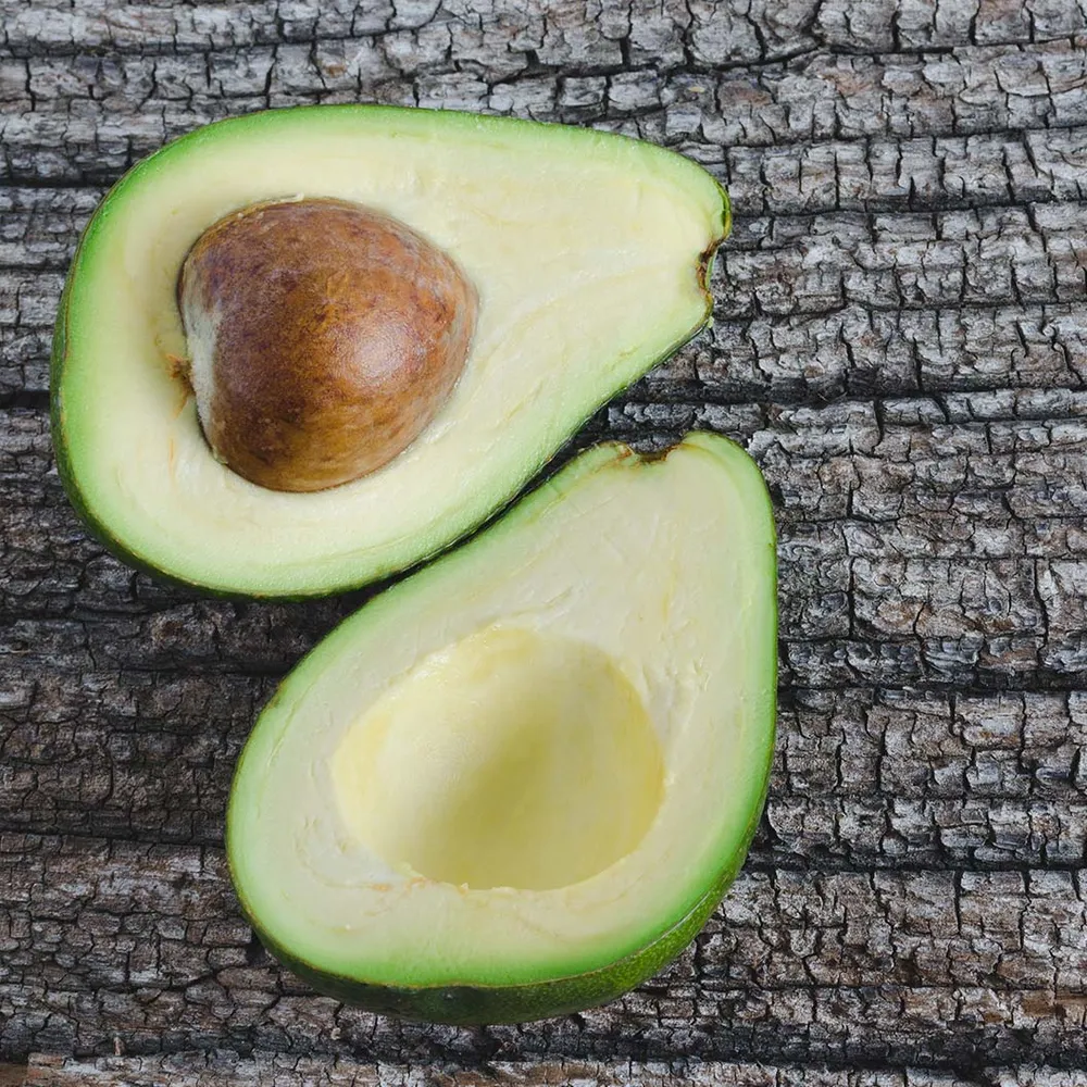 Gem Avocado Tree Live Fruit-Bearing Plant 1