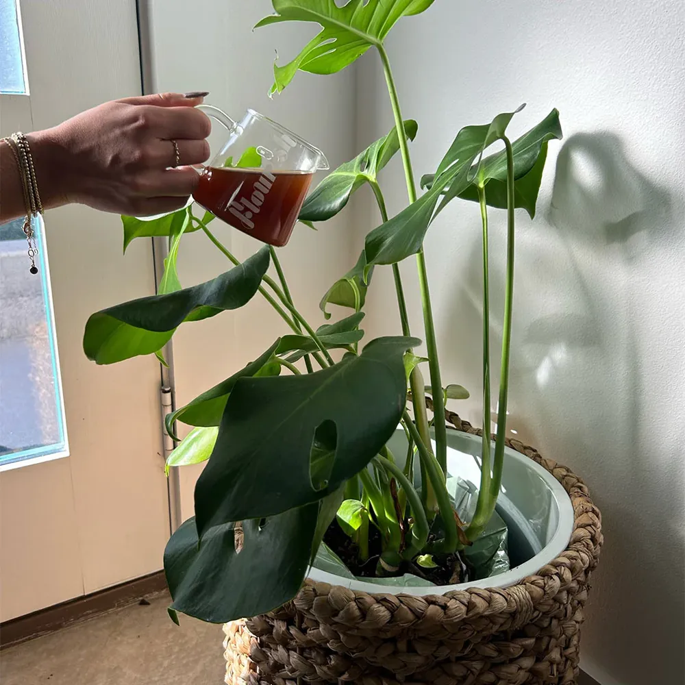 Flourish Organic Plant Food - Balanced Liquid Nutrient Formula 3