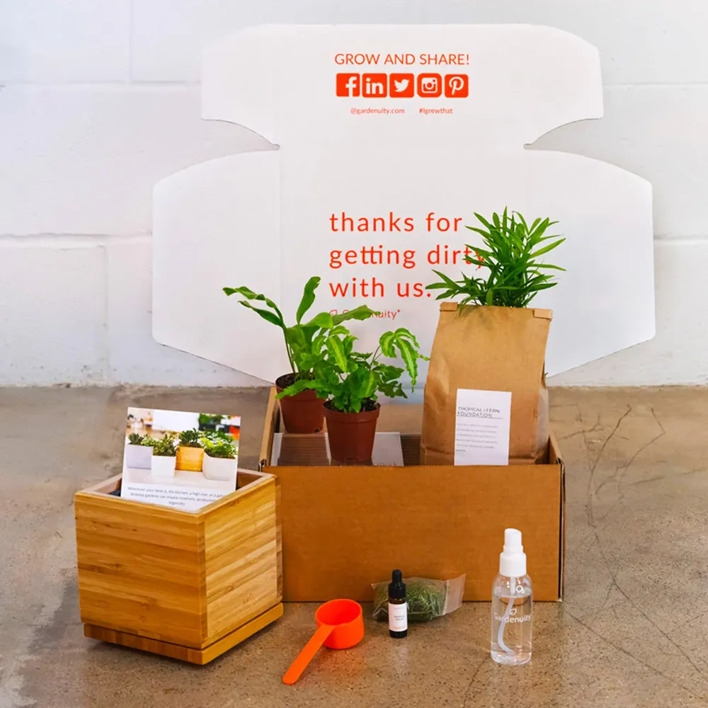 Tropical Desktop Garden Kit in Sustainable Bamboo Planter 3