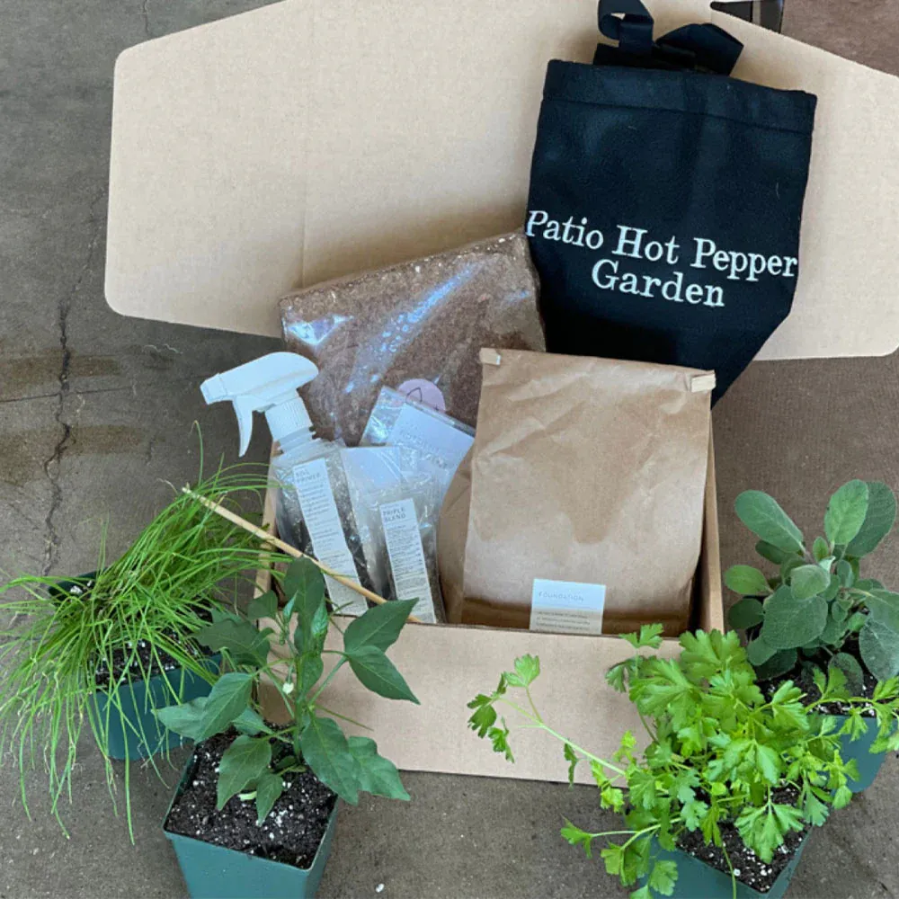 Patio Hot Pepper Garden Container Kit with Self-Watering System 1