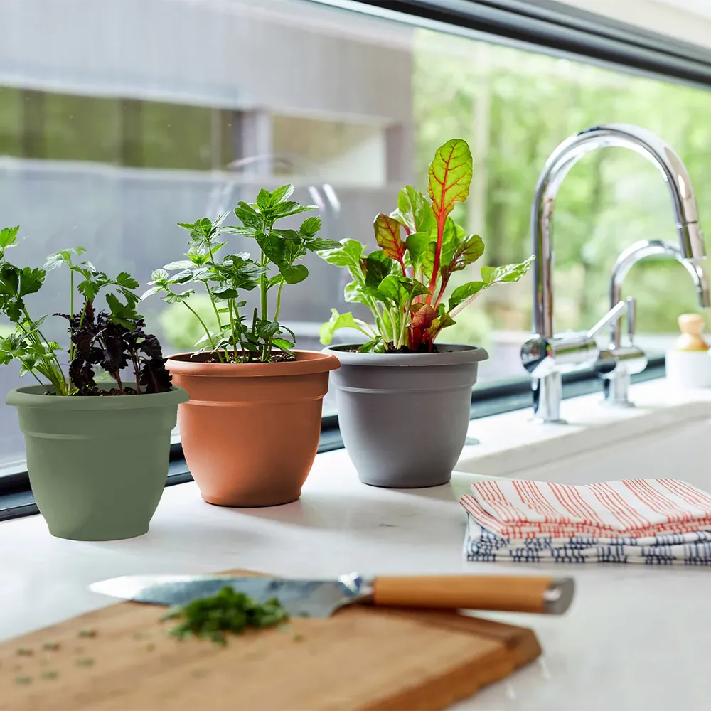 Bloem Ariana Self-Watering Planter, Living Green 4