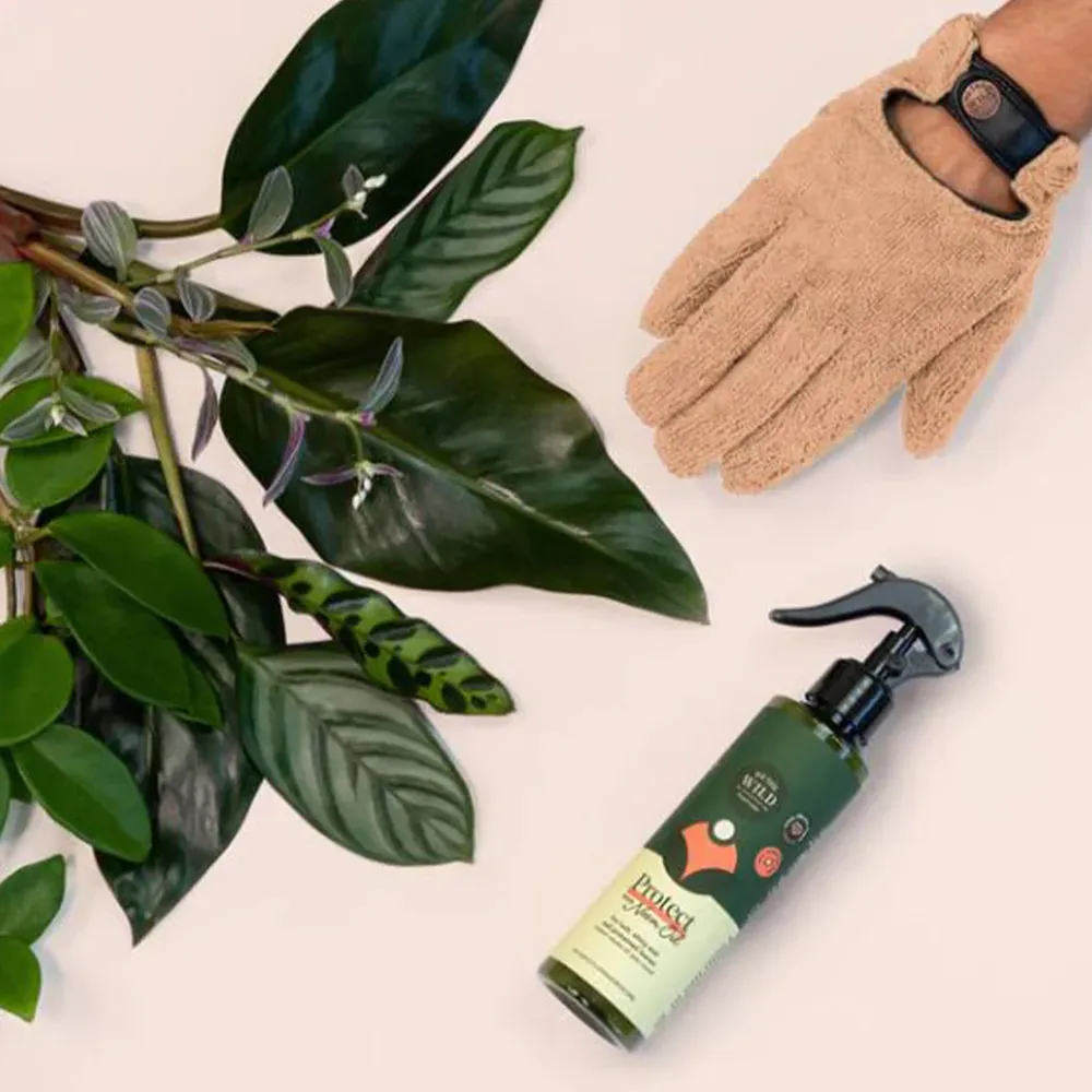 We the Wild Proud Plant Mum Leaf Care Kit - Indoor Houseplant Maintenance Set 1