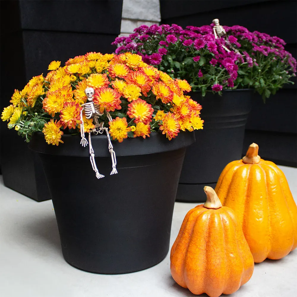 Bloem Terra Planter in Black - Durable Indoor and Outdoor Garden Pot 4