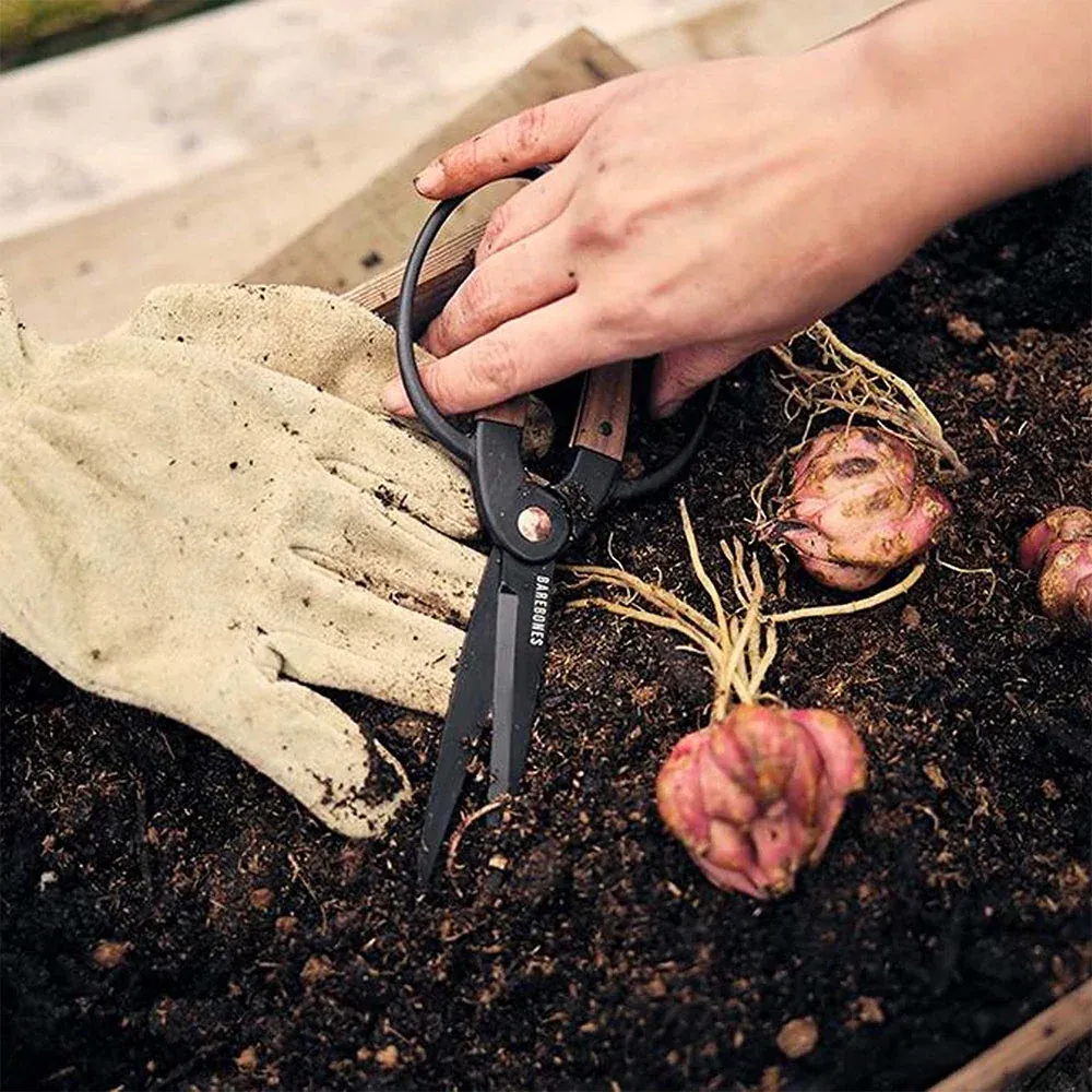 Rust-Resistant Steel Garden Scissors for Precision Pruning
