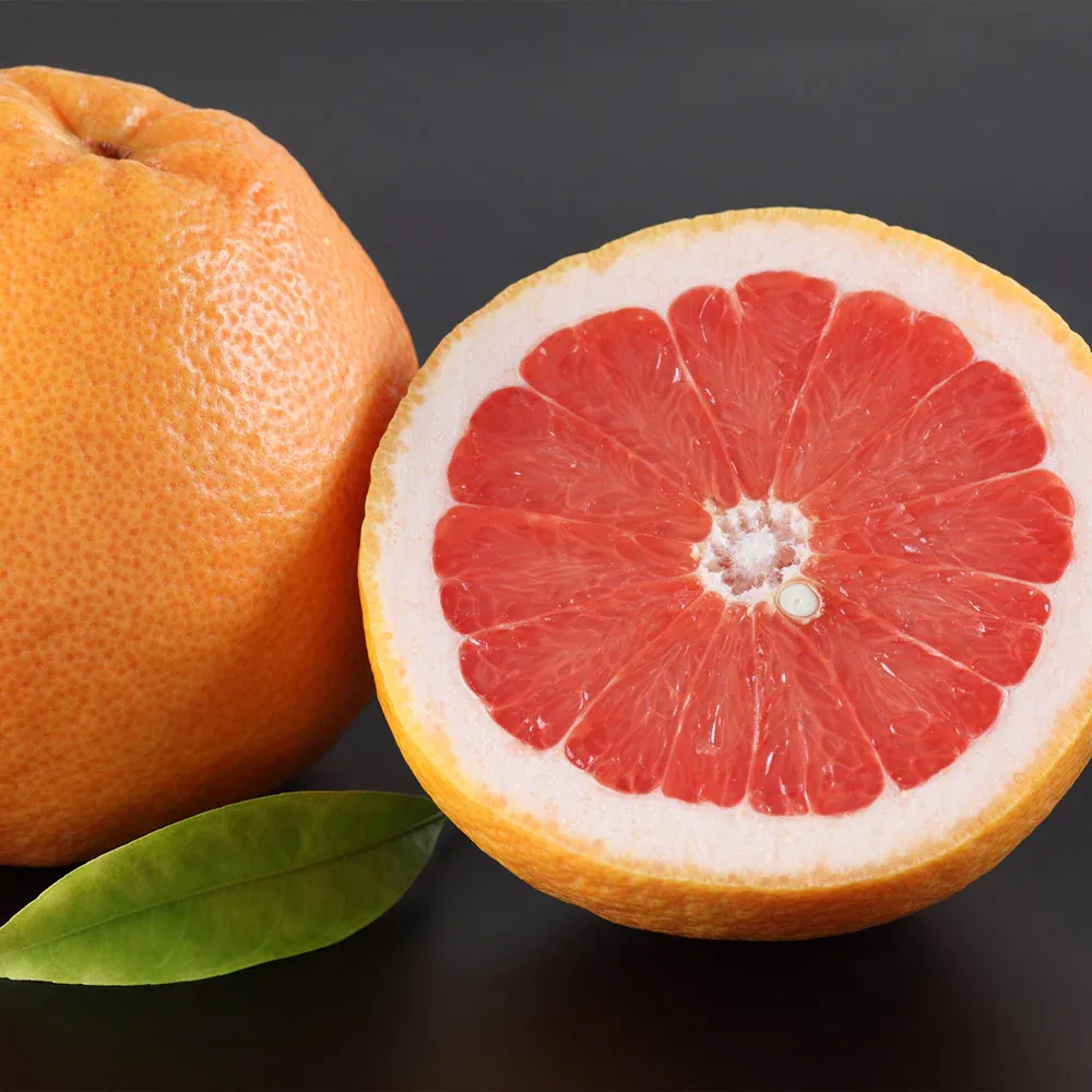 Ray Ruby Grapefruit Tree - Live Citrus Plant for Home Gardening 1