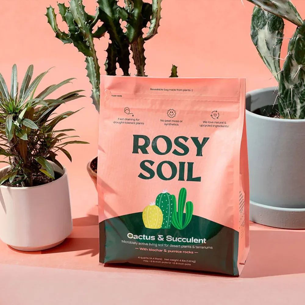 Cactus and Succulent Potting Mix - Fast-Draining Soil Blend for Indoor Plants 5