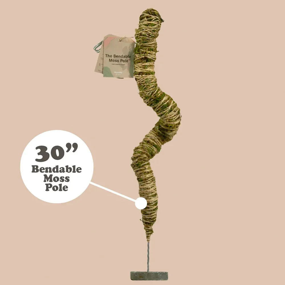 Bendable Moss Pole for Climbing Plants - Flexible Indoor Plant Support Stake 6