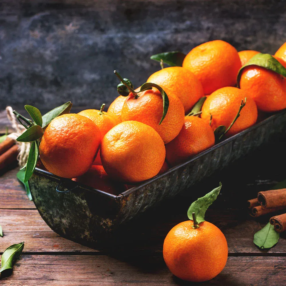 Pixie Mandarin Tree - Compact Evergreen Citrus for Home Gardens 2