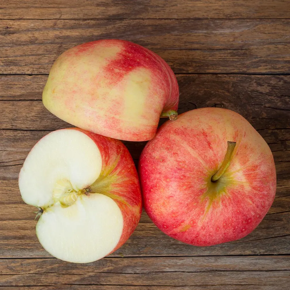 Triumph Apple Tree - Deciduous Fruit-Bearing Tree for Home Gardens 1