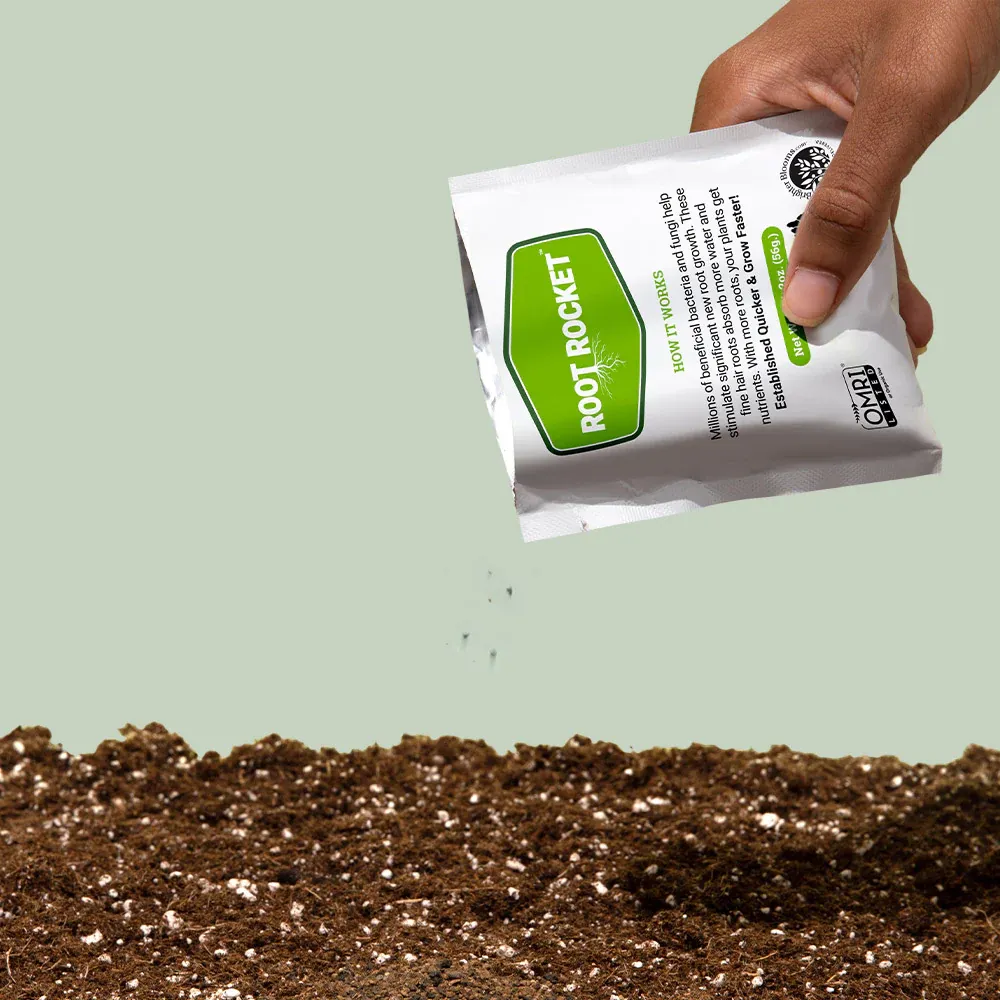 Root Rocket® Citrus Fertilizer Deep Root Nutrient Delivery System 2
