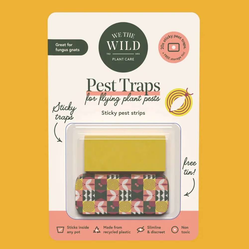 Compostable Gnat Trap for Indoor Houseplants - Sustainable Pest Management