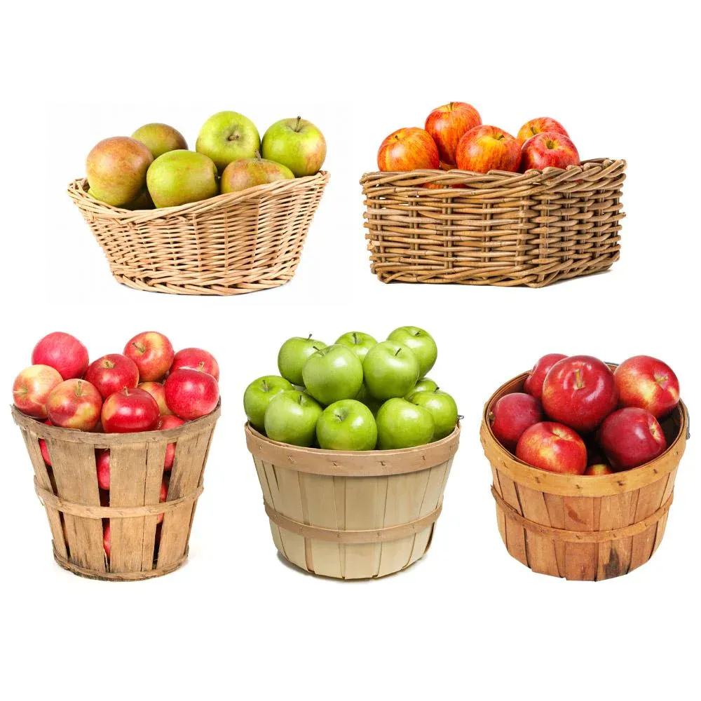 5-in-1 Multi-Graft Apple Tree for Home Orchards