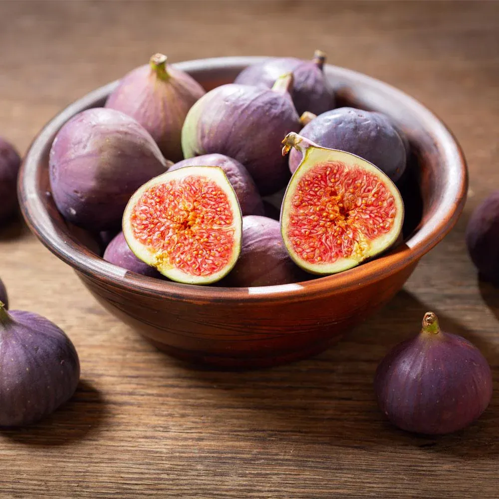 LSU Purple Fig Tree - Cold Hardy Fruit-Bearing Deciduous Plant 1