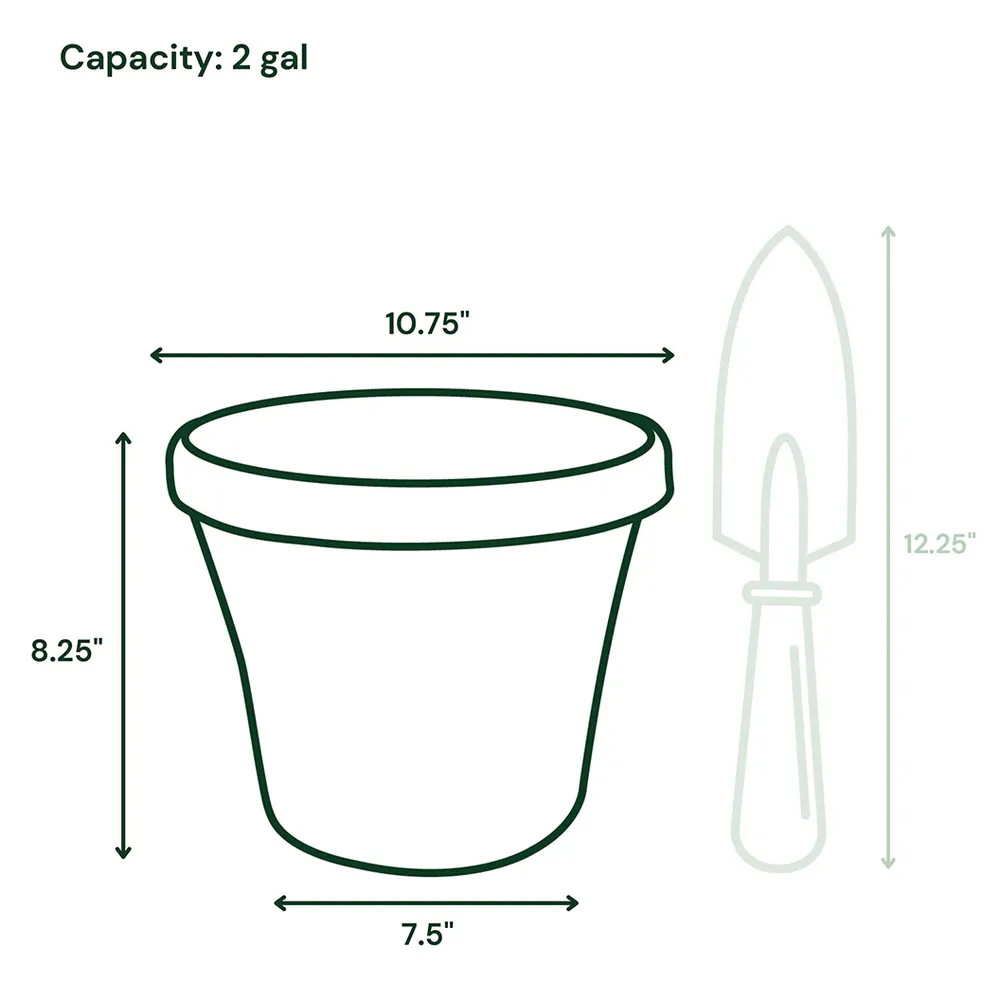 Bloem Terra Planter in Basil - Durable Resin Indoor and Outdoor Flower Pot 6