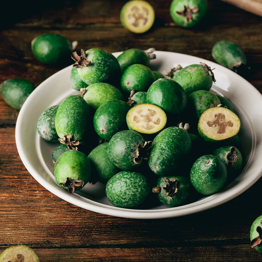 Pineapple Guava Coolidge Tree (Feijoa sellowiana) 2