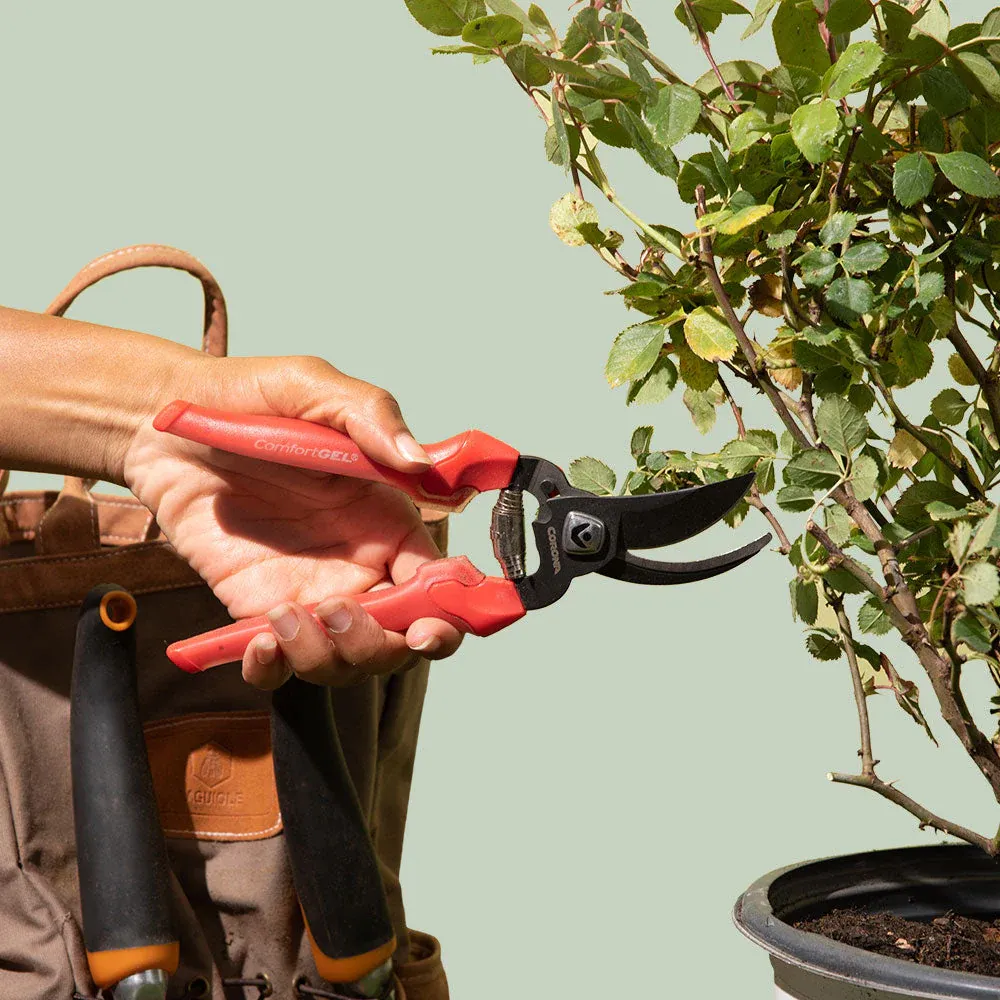 Corona ClassicCUT® Bypass Pruners - 3/4 in. Cutting Capacity