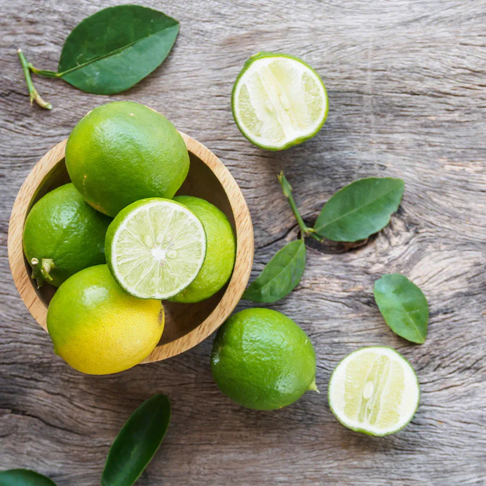 Key Lime Bush - Compact Citrus aurantifolia for Container Gardening 2