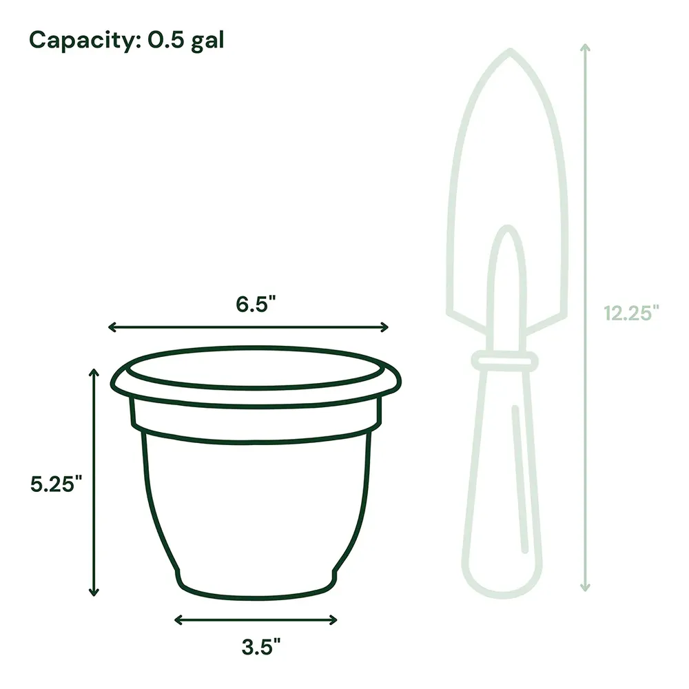 Bloem Ariana Self-Watering Planter in Terra Cotta 8