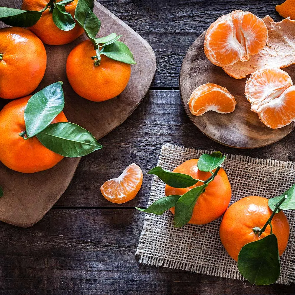 Sugar Belle® Mandarin Citrus Tree