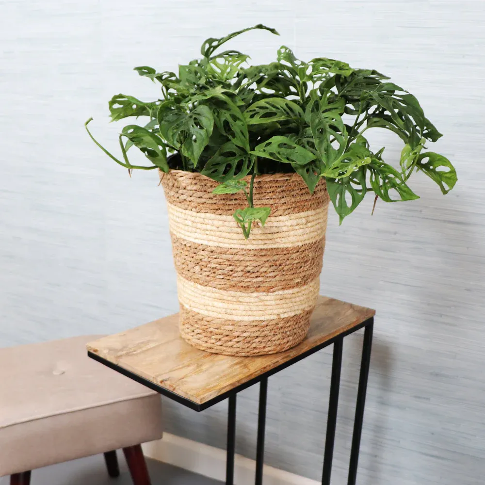 Striped Jute Woven Basket - Natural Fiber Storage Organizer