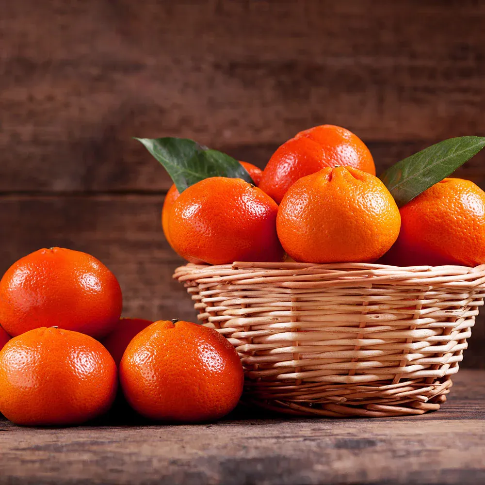 Dancy Tangerine Tree - Live Citrus Reticulata for Home and Garden 2