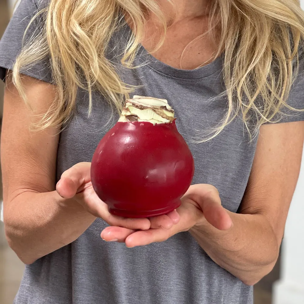 Cranberry Wax-Dipped Amaryllis Bulb with Sovereign Blooms 1