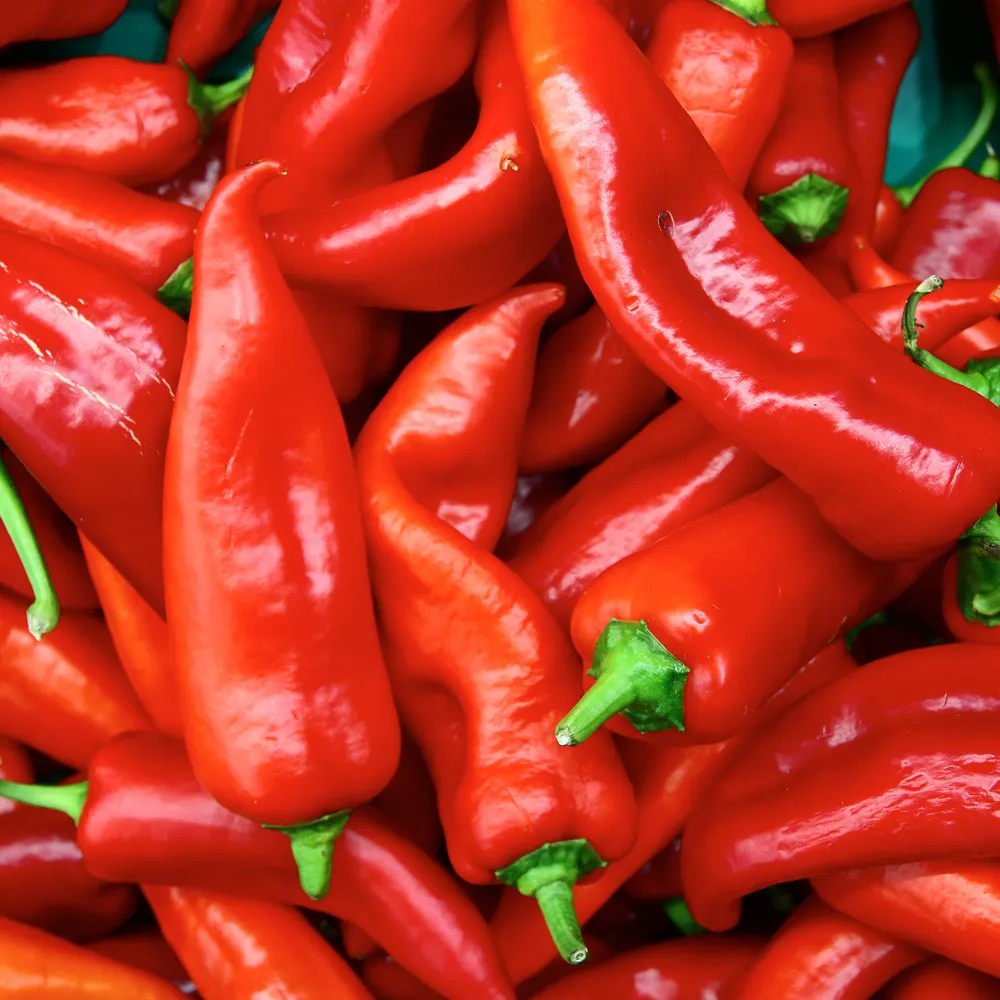 Fresh Sweet Pepper Bell Pepper Vegetable 1