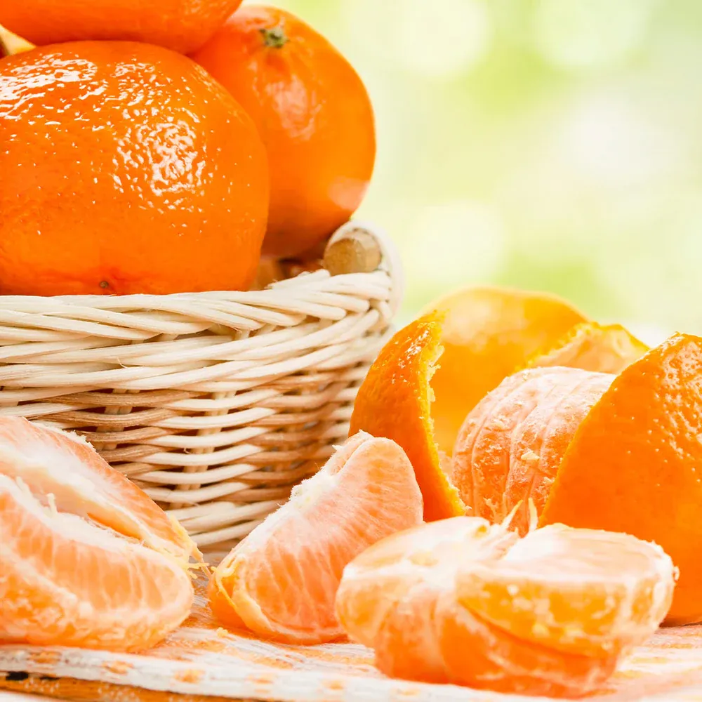 Owari Satsuma Mandarin Tree - Cold Hardy Seedless Citrus Fruit Tree 3