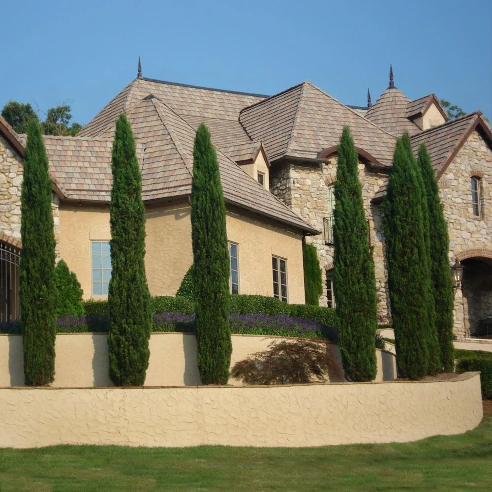Artificial Italian Cypress Tree - UV Resistant Faux Mediterranean Topiary 3