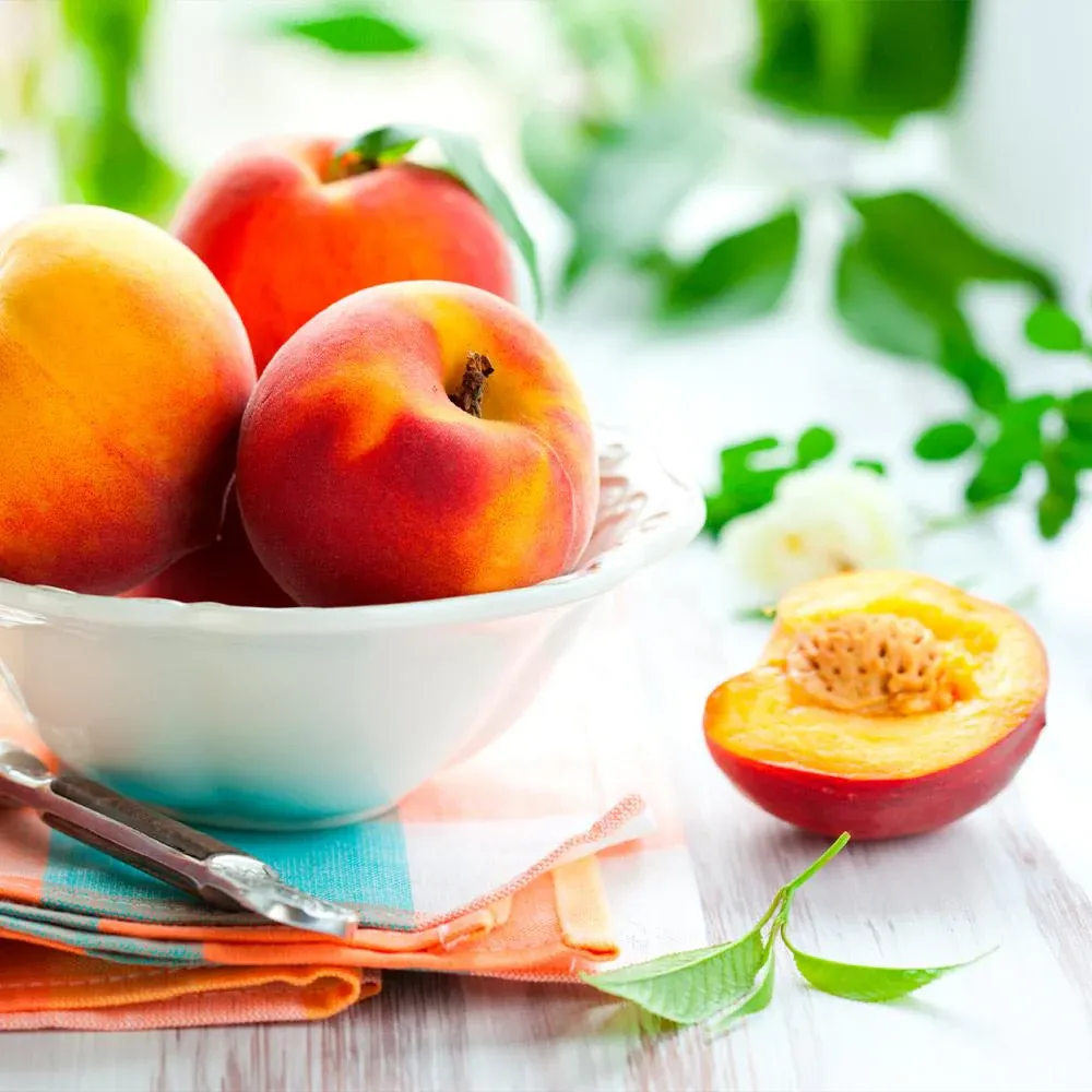 Harvester Peach Tree - Productive Fruit-Bearing Tree for Home Orchards 2