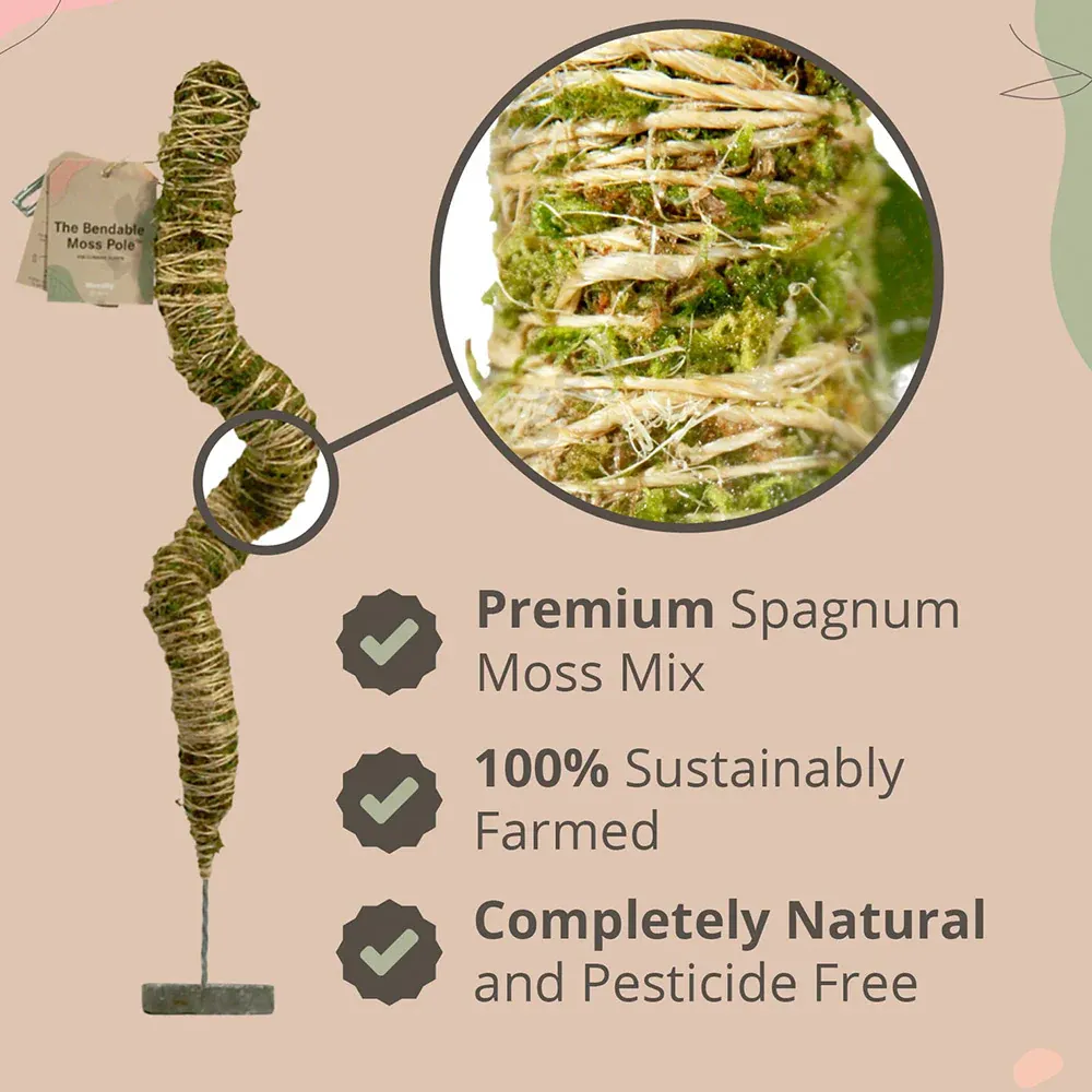 Bendable Moss Pole for Climbing Plants - Flexible Indoor Plant Support Stake 3