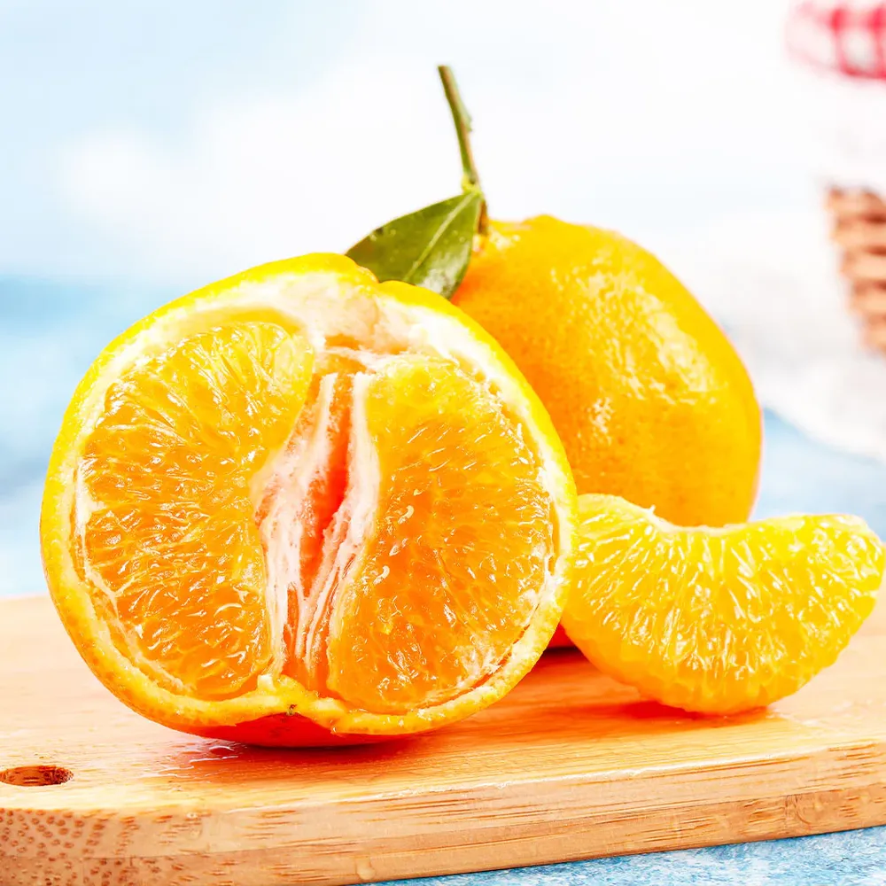 Xie Shan Satsuma Mandarin Citrus Tree 1