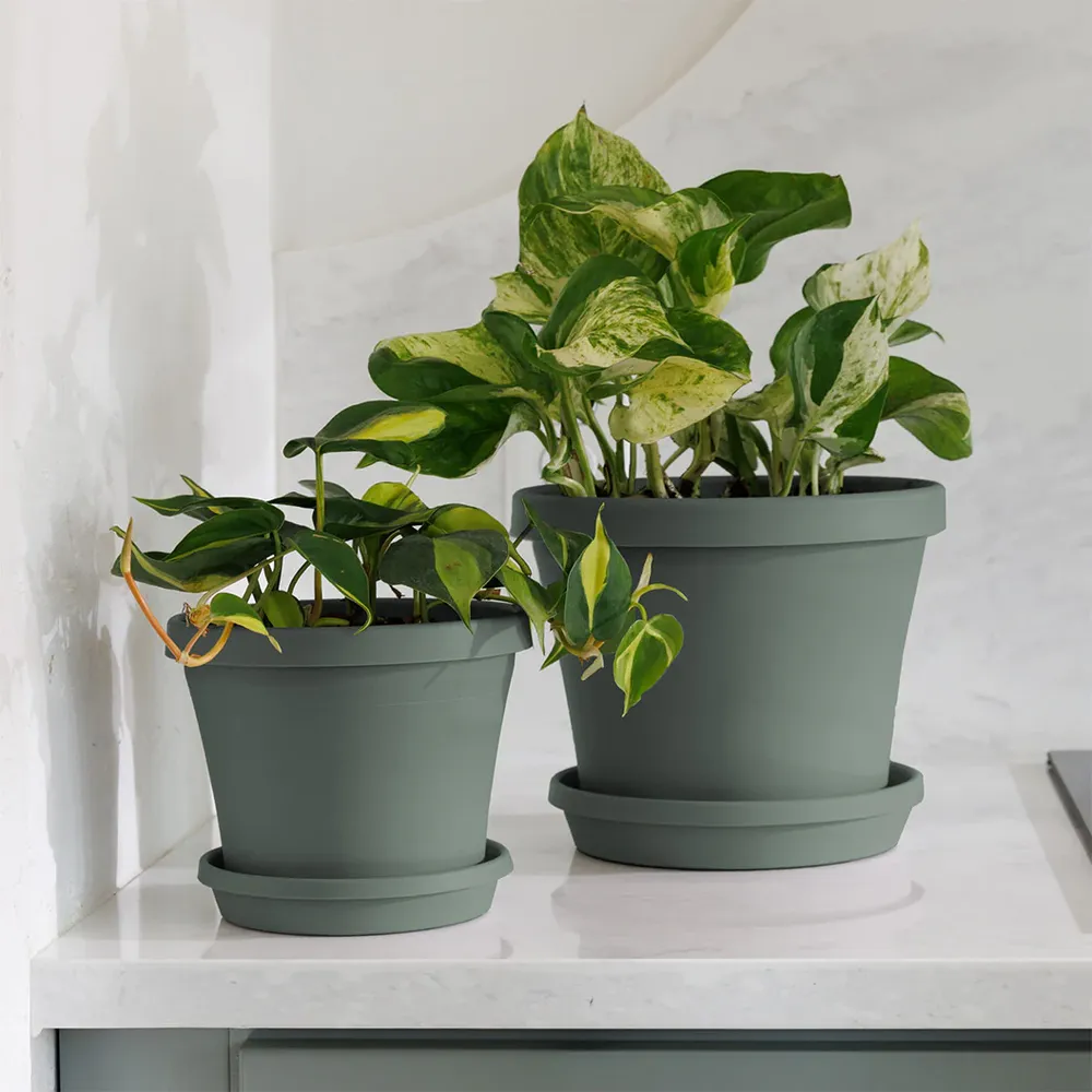 Bloem Terra Planter in Basil - Durable Resin Indoor and Outdoor Flower Pot 4