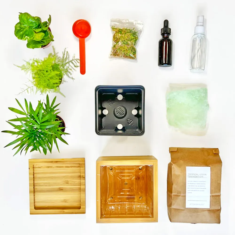 Tropical Desktop Garden Kit in Sustainable Bamboo Planter 2