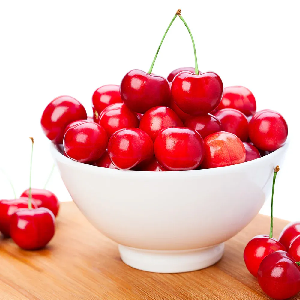 Coral Champagne Cherry Tree - Productive Fruit Tree for Home Gardens 1