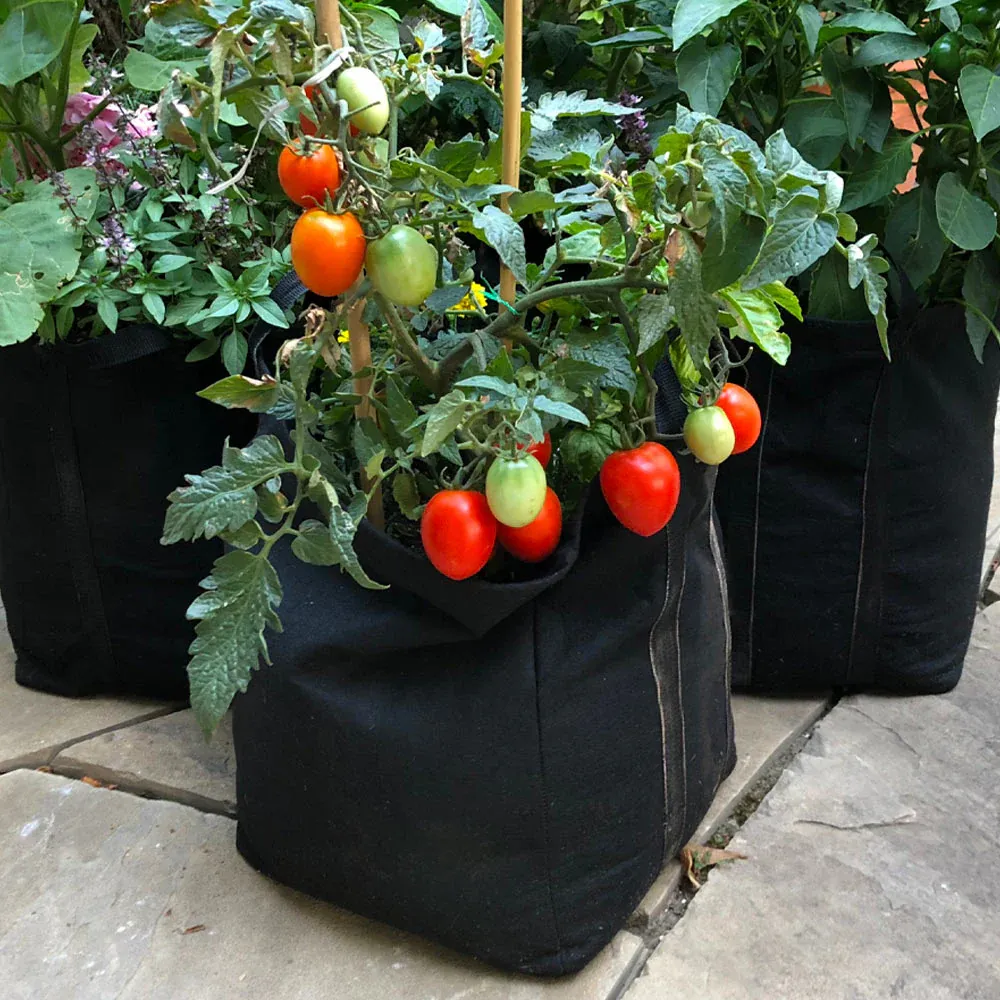 Patio Tomato Garden Container Kit for Small Space Vegetable Growing 1