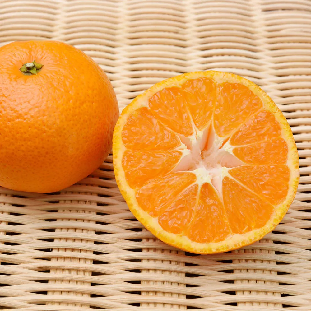Tango Mandarin Tree - Seedless Citrus Reticulata for Home Cultivation 1